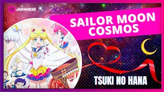 Tsuki no Hana 月の花 (Rock Version) [Sailor Moon Cosmos]