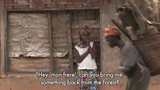 The bushmeat trade in Cameroon