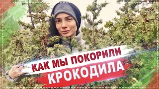 ВЫХОДНЫЕ В КРЫМУ / ЗИМА 2019 / Ялта - Севастополь /