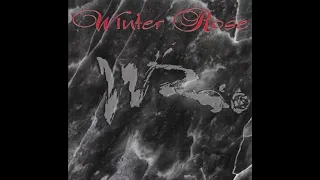 Winter Rose – I'll Never Fall In Love Again