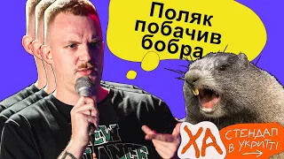 Чому поляки люблять бобрів? — Коля Капішон — StandUp в укритті