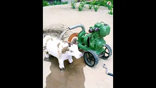 cow bathed with mini diesel engine water pump