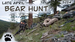 Late April Spring Bear Hunt BC 2024