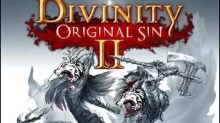 Lone Wolf, Bro Wolves Ep.20 "Stealing Driftwood and Arena Goals" Divinity Original Sin 2 Playthrough