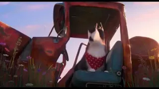 Secret Life Of Pets 2 but with Rooster only( redo)