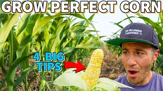These 4 Changes REVOLUTIONIZED The Way I Grow CORN!