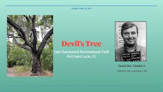 How to find the Devil's Tree (walk to) | Port Saint Lucie, FL | Oak Hammock Park | 2021