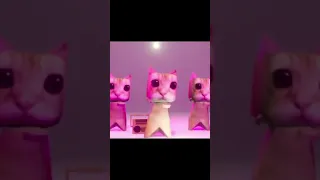 Cats dancing meme template