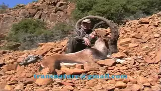 Bezoar ibex hunting with Bob Alan Mann - Recep Ecer'le yaban keçisi avı