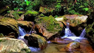 forest river sounds - relaxing water sounds for sleeping - relaxing sounds