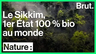 Inde : le Sikkim est le 1er État 100 % bio au monde