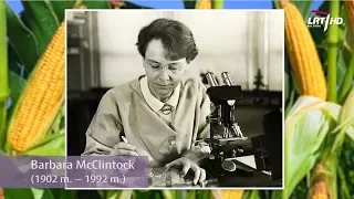 Barbara McClintock, kukurūzai ir šokinėjantys genai || Moterys Moksle #7