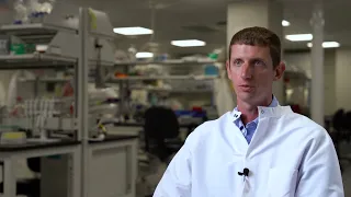 KCAS Bio - Flow Cytometry Services Overview