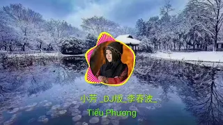 小芳 _DJ版_  ( Tiểu Phương )#李春波#抖音最好听的歌曲