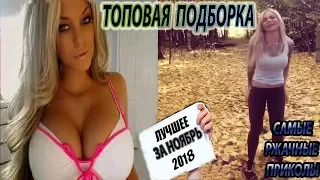 ЛУЧШИЕ ПРИКОЛЫ 2018 НОЯБРЬ | Самые смешные видео | Топовая подборка #3