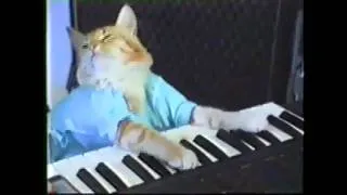 Play David Stern Off, Keyboard Cat!!!   (Sonicsgate.org)