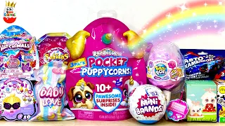 SURPRISE MIX! Pocket Puppicorns RainBoCoRns, Mini BRANDS, PikmiPops, Hatchimals, Unpacking Surprises