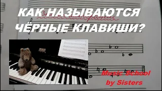 КАК НАЗЫВАЮТСЯ ЧЁРНЫЕ КЛАВИШИ ПИАНИНО? ДИЕЗ, БЕМОЛЬ, БЕКАР НА ПИАНИНО