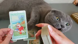 17 января. 🤶🎄Карта дня🎉🎁. Tarot Horoscope+Lenormand today от Ирины Захарченко.