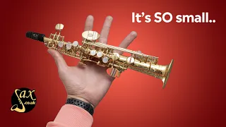 The World's Smallest Saxophone