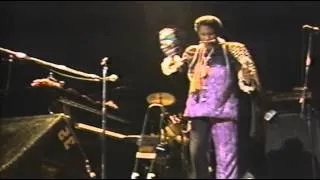 Screamin' Jay Hawkins  Frenzy Tokyo, 1990)