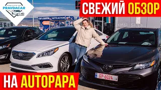 Свежий обзор авто из США в Грузии. Какие цены на авторынке Autopapa.