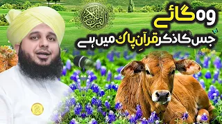 Woh Gaaye (Cow) Jis Ka Zikr Quran e Pak Mein Hai | New Clip 2022 | Muhammad Ajmal Raza Qadri