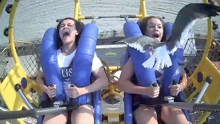 WATCH OUT! Seagull hits teen in face while on SpringShot ride in Wildwood, NJ