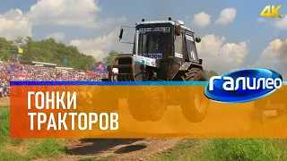 Галилео 🚜 Гонки тракторов [Tractor race] 4K