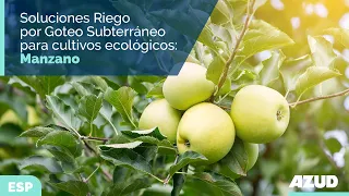 Soluciones de Riego Por Goteo Subterráneo en cultivos ecológicos: manzana ecológica en alta densidad