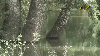 Идет большая вода