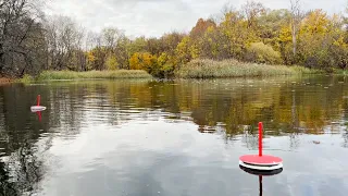 ЗАБРАЛСЯ В РЕАЛЬНУЮ ГЛУШЬ! Рыбалка на кружки и спиннинг на сказочно красивой реке.