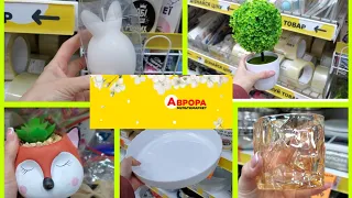 Аврора. Всього по трохи.😊