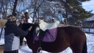 Видео тренировочного процесса. Облегчённая посадка на рыси.