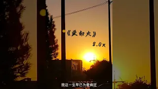 《爱如火EMO版》0.8x慢速