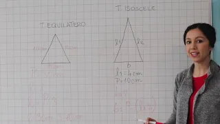 Formule inverse perimetro dei triangoli