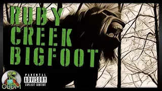 Ruby Creek Bigfoot | OBDM Podcast