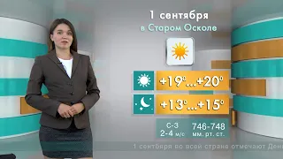 Прогноз погоды в Старом Осколе и Губкине на четверг, 1 сентября