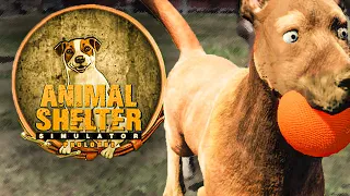 ТЕПЕРЬ У МЕНЯ ЕСТЬ СВОЙ ПИТОМНИК ➤ Animal Shelter Prologue