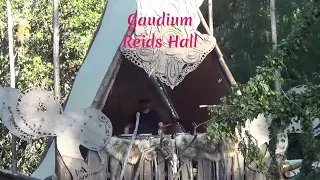 Gaudium Go Nutz (Confused Miracles) Live @ Forest Star Festival 2023: Progressive Psytrance / Techno