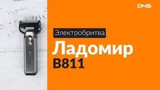 Распаковка электробритвы Ладомир В811 / Unboxing Ладомир В811