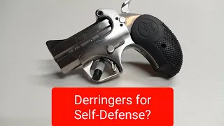 Are Derringers Good For Self-Defense?