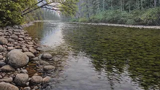 Painting a Realistic River With Acrylic. Time Lapse /90