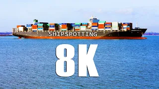 8K Spectacular Ship Spotting - 1 HOUR