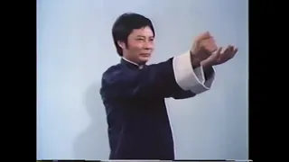 Wing Chun Basic Techniques part 1