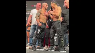 Volkanovski x Korean Zombie stare down 🍿 | #shorts