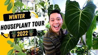 HOUSEPLANT TOUR WINTER 2022 💚| PART 2| Philodendron, Monstera, Syngonium, Hoya, Anthurium, & MORE 😍