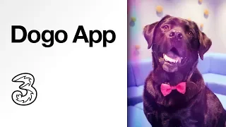 Dogo App | Dog Training made easy | Discovery, with Three