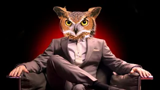 I went to dinner with an owl... and I was trapped forever | Dinner With An Owl