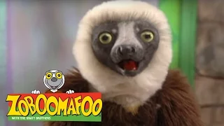 Zoboomafoo 203 - Talk to Me (Full Episode)